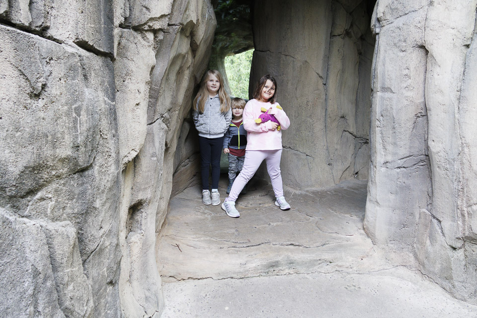 Woodland Park Zoo — photo 11